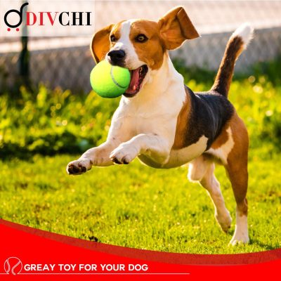 Pawfecto Pack of 12 Tennis Balls With Mesh Bag, Sport Play Dog Toy Ball Sturdy & Durable, Great For Lessons, Practice, Throwing Machines & Playing with Pets