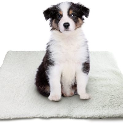 Pawfecto Pets Self Heating Pet Pads Pet Blanket/Self Heated Cat Dog Bed/Pet Thermal Mat Blanket